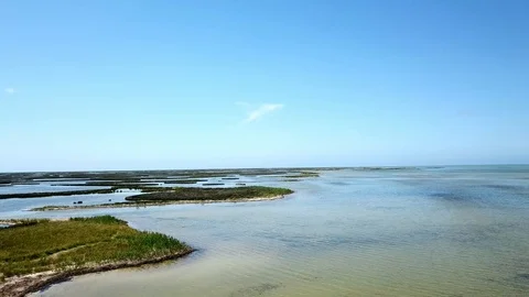 Aerial view of Mouflons running in shallow water Stock Footage 120609092