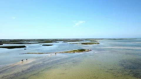 Aerial view of Mouflons running in shallow water 스톡 동영상 120609187