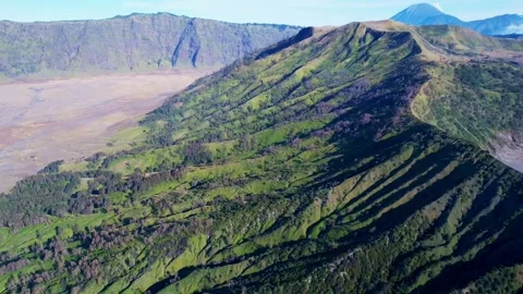 Aerial View of Mount Bromo's Verdant Slopes in East Java, Indonesia Vídeo Stock 317544442