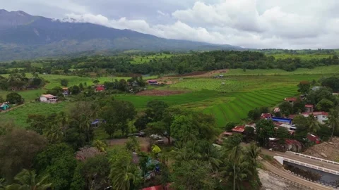 Aerial view of Mount Canlaon volcano rural landscapes in Canlaon City, Negros Stock-Footage 333421062