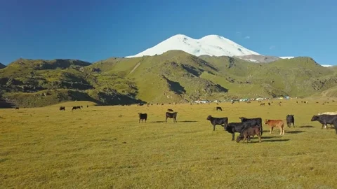 Aerial view of Mount Elbrus from the height of the Emmanuel Glade. Flying past a Stock Footage 151774357