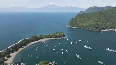 Aerial view of Mount Fuji and Izu peninsula coastline, Shizuoka Vidéo 334761237