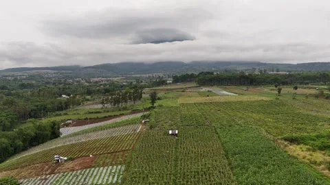 Aerial view of Mount Gede Pangrango from Sukabumi Vídeos de archivo 295914874