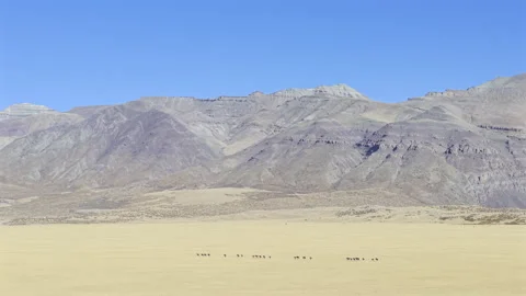 Aerial View of Mount Kailash and Tibetan Wild Ass in Ngari Stock Footage 340453796