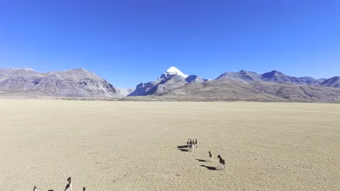 Aerial View of Mount Kailash and Tibetan Wild Ass in Ngari Stock-Footage 340453861