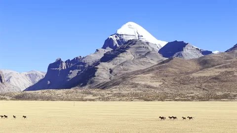 Aerial View of Mount Kailash and Tibetan Wild Ass in Ngari Vídeos de archivo 340453869