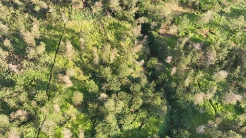 Aerial View of Mount Merapi in the Morning Stock Footage 235881968