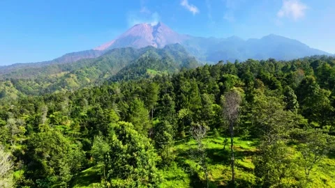 Aerial view of Mount Merapi volcano and lush green forest 库存影片 347039912