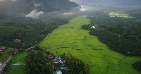 Aerial view of Mount Pulai with dramatic rolling cloud and green paddy field Stock Footage 100617562