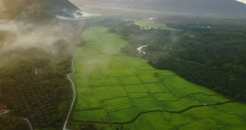 Aerial view of Mount Pulai with dramatic rolling cloud and green paddy field Video stock 100617669