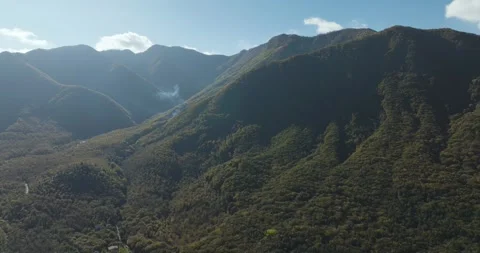 Aerial view of Mount Terminio and forest, Italy. Stock Footage 293317808