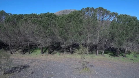 Aerial View Mount Vesuvius Stock Footage 99056802