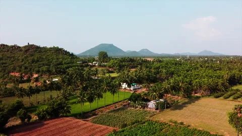 Aerial view of mountain and coconut farm in small village Stock Footage 243306472