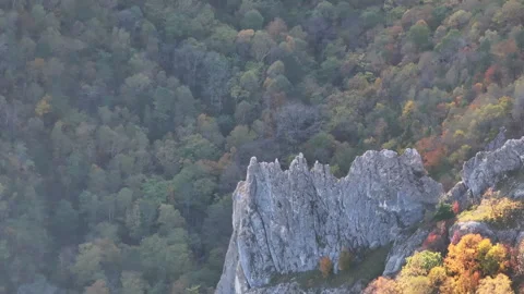 Aerial View of Mountain and Forest Stock Footage 265806910