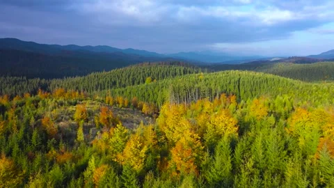 Aerial View Of Mountain And Forest Stock Footage 304064139