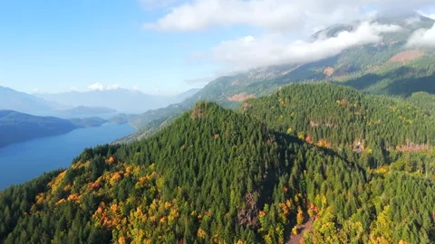 Aerial View Of Mountain And Forest Stock Footage 304064283