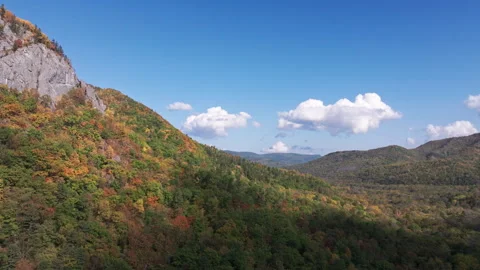 Aerial View of Mountain and Tree Landscape Stock Footage 266937996