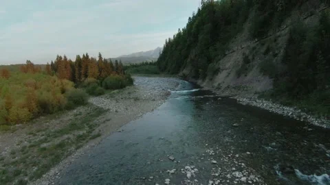 Aerial view of mountain brook or river flowing in the green valley. Poland Stock Footage 219579405