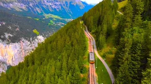Aerial View of Mountain Cogwheel Train Winding Through Pine Forest Stock Footage 346732942
