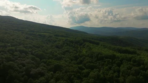 Aerial view Mountain Drone Flight in Summer forest Stock Footage 312619249