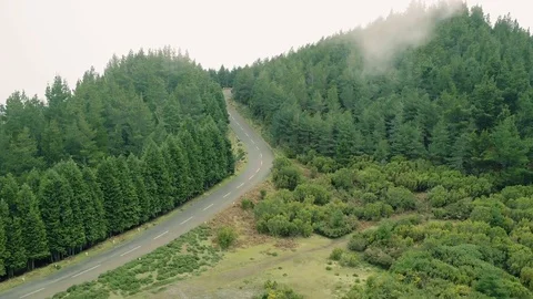 Aerial View of the Mountain Evergreen Forest with Fog Stock Footage 72193117