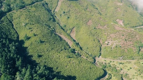 Aerial View of the Mountain Evergreen Forest Stock Footage 72194058