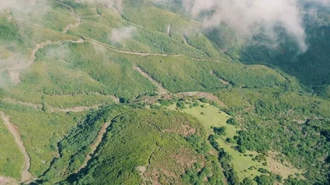 Aerial View of the Mountain Evergreen Forest Stock Footage 72194129