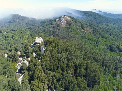 Aerial View of the Mountain Evergreen Forest with Fog Stock Footage 82046412