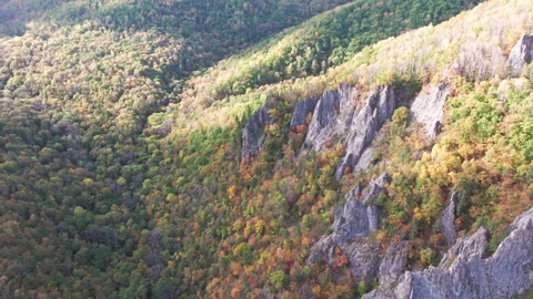 Aerial View of a Mountain With Fall Trees Stock Footage 266923652