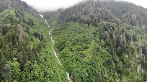 Aerial view of mountain with flowing down river Stock Footage 219508456