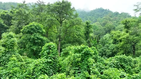 Aerial view of the mountain Stock Footage 248252341