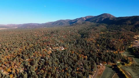 Aerial View of Mountain Forest Community at Big Bear Lake Stock Footage 321118503
