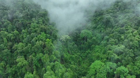 Aerial View of Mountain, Forest, Could at Bo Kluea Districtfrom Stock Footage 281817255