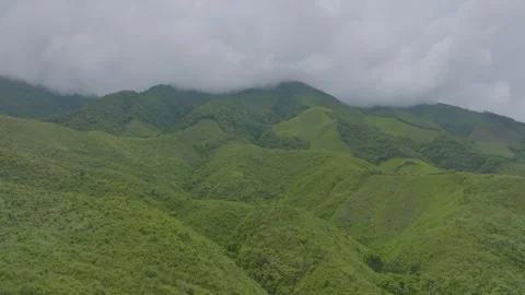 Aerial View of Mountain, Forest, Could at Sapun Districtfrom Stock Footage 281819503