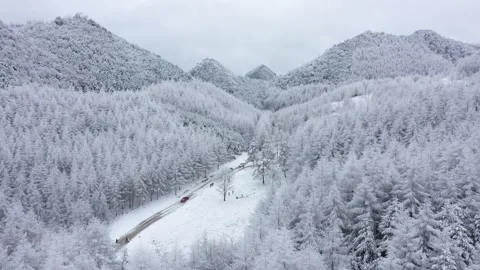 Aerial View of a Mountain Forest Covered in Deep Snow During Winter Stock Footage 341877272