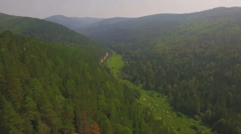 AERIAL view of  the mountain forest Stock Footage 66856963