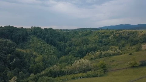 Aerial view of a mountain forest Stock Footage 89814061