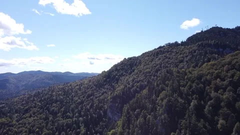 Aerial view mountain forest Stock-Footage 212331587