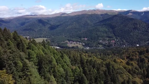 Aerial view mountain forest Stock-Footage 212331697