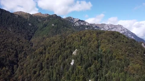 Aerial view mountain forest Vídeo Stock 212331698