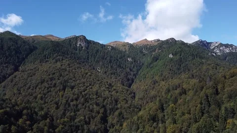 Aerial view mountain forest Stock-Footage 212331811