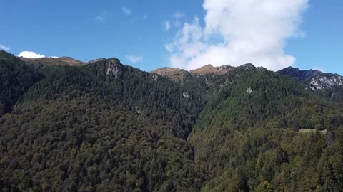 Aerial view mountain forest Stock-Footage 212331813