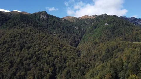 Aerial view mountain forest Stock-Footage 212331858