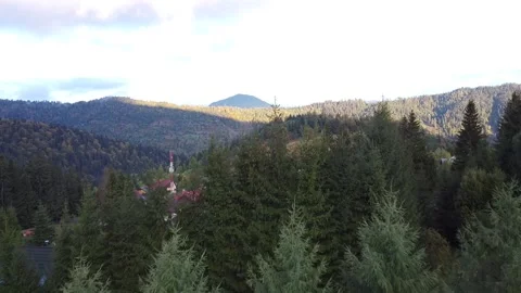 Aerial view mountain forest Vídeo Stock 217439734