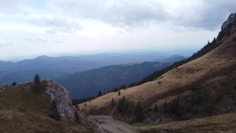 Aerial view mountain forest Vídeo Stock 217439768