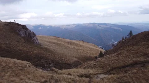 Aerial view mountain forest Stock-Footage 217439803