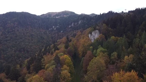 Aerial view mountain forest Vídeo Stock 217439879