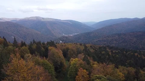 Aerial view mountain forest Vídeo Stock 217439899