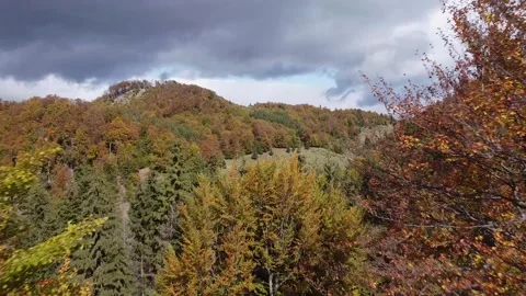 Aerial view mountain forest Vídeo Stock 217439982