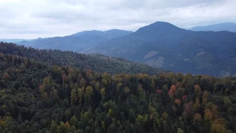 Aerial view mountain forest Stock-Footage 217439983